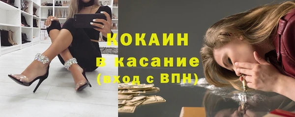 сатива Беломорск