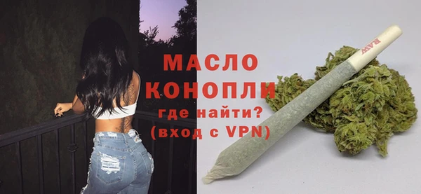 сатива Беломорск