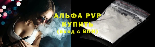 сатива Беломорск