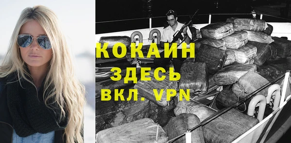 сатива Беломорск