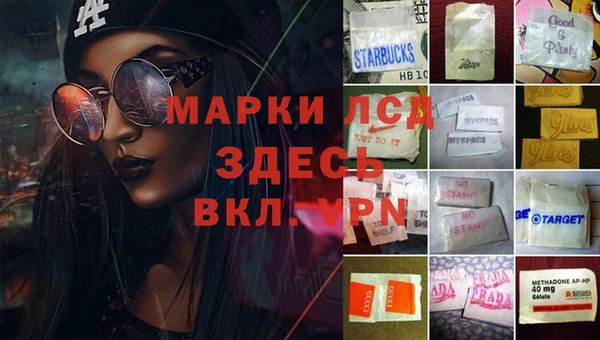 амф Белокуриха