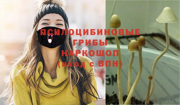 сатива Белоозёрский