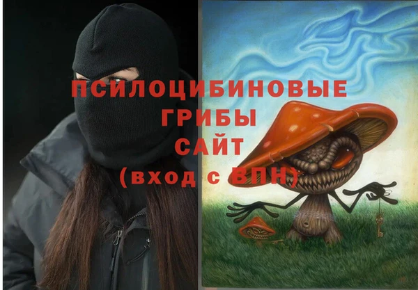 сатива Беломорск