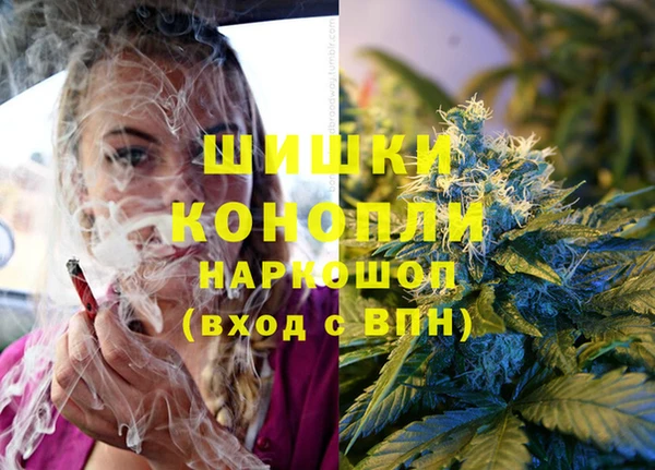 сатива Беломорск
