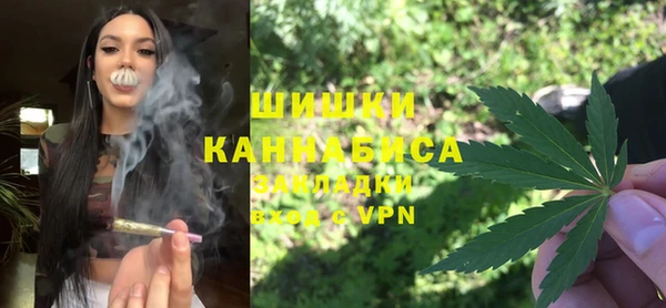 сатива Белоозёрский