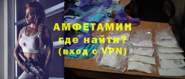 сатива Беломорск