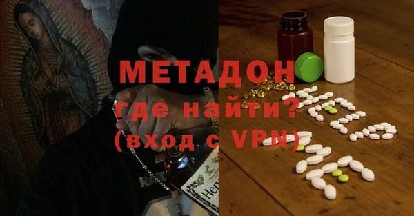 сатива Беломорск